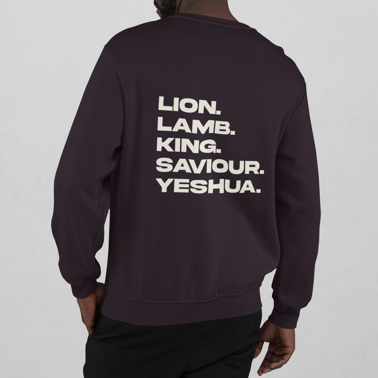 YESHUA  LION LAMB|Unisex Relaxed Crew | 5160