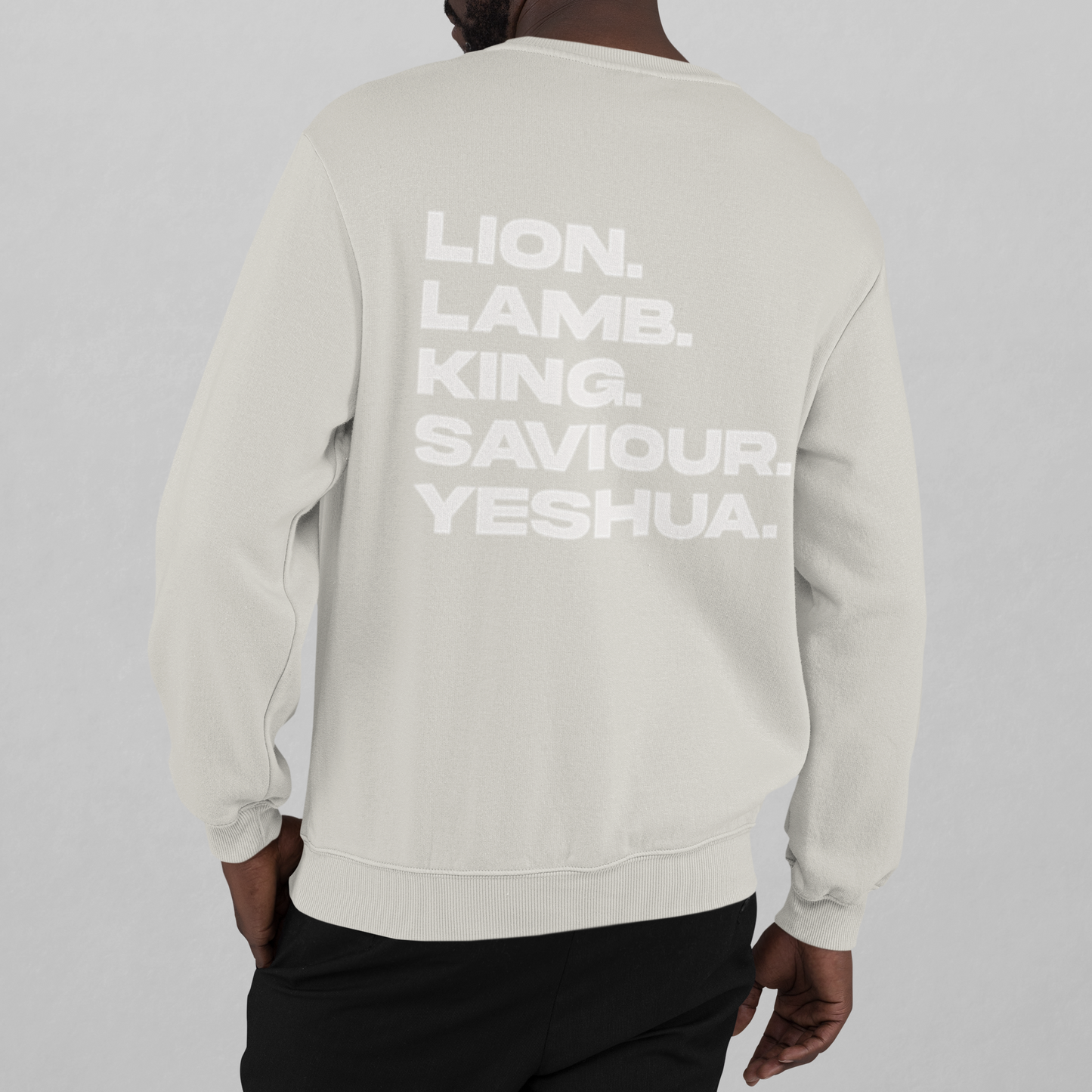 YESHUA  LION LAMB|Unisex Relaxed Crew | 5160